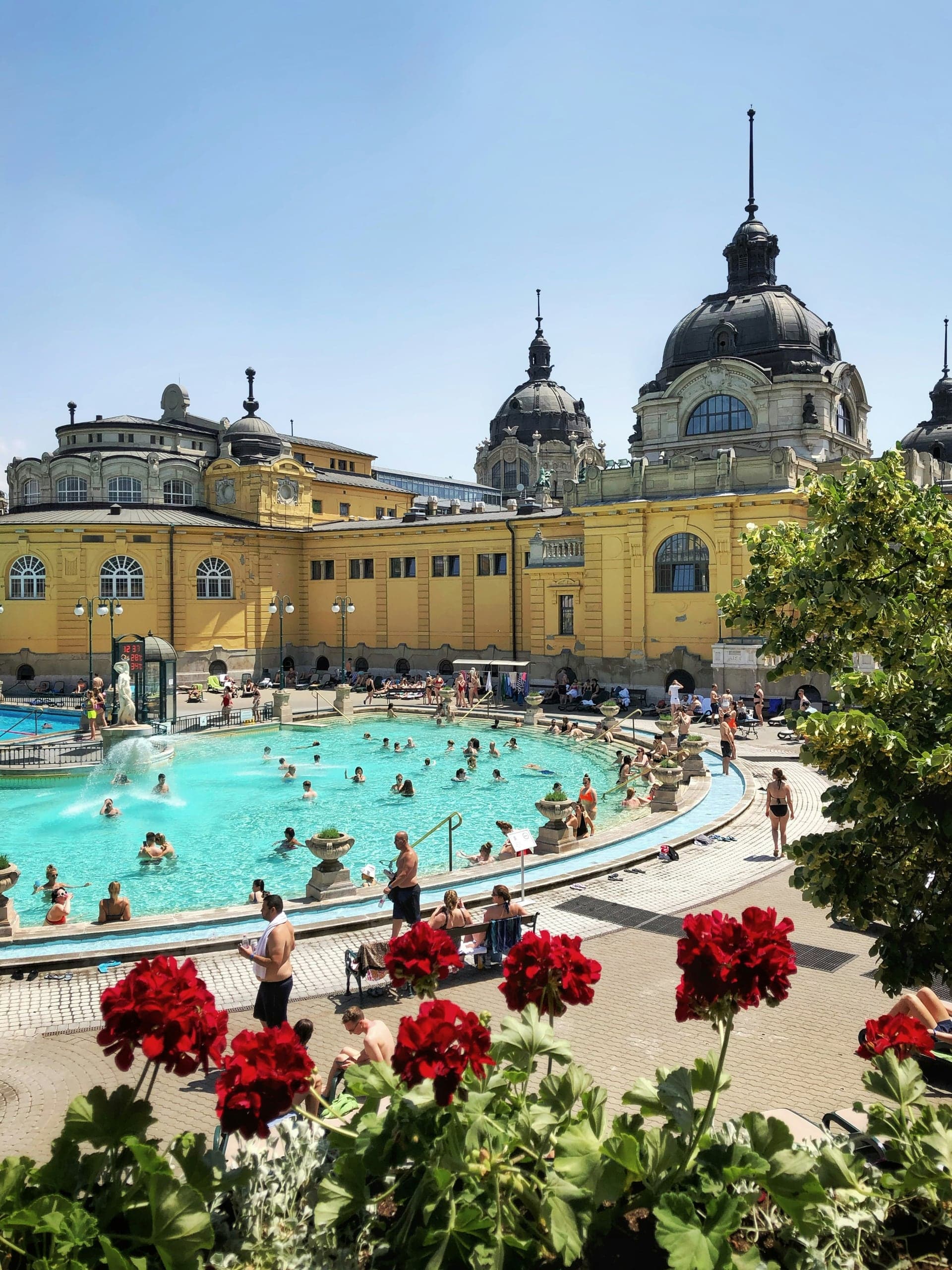 Turquoise water, red flowers, and the ochre neo-Baroque buildings of Széchenyi Thermal Bath