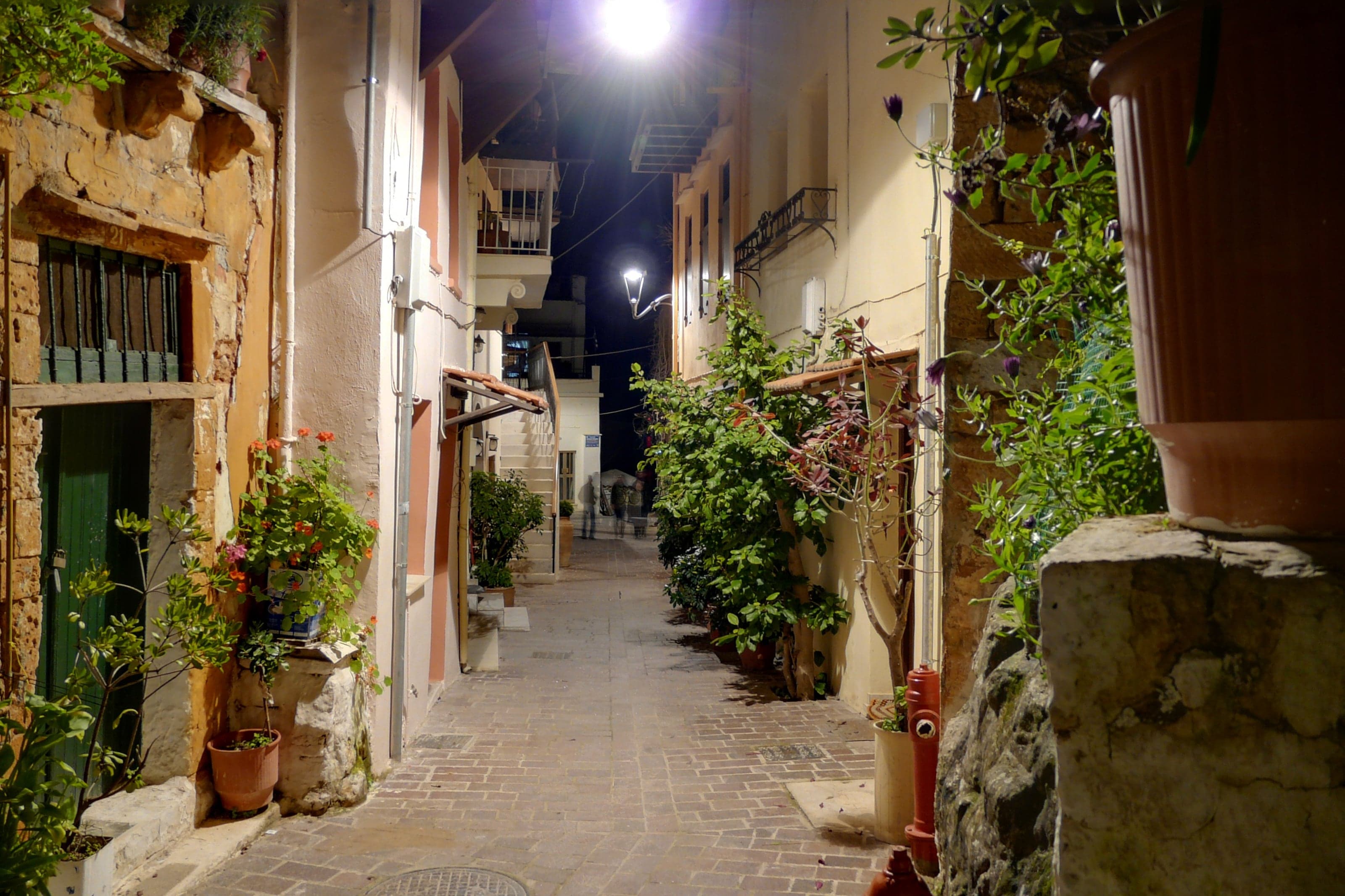 A quiet stone-paved Chania old-town lane lined with potted flowers and softly lit homes at night