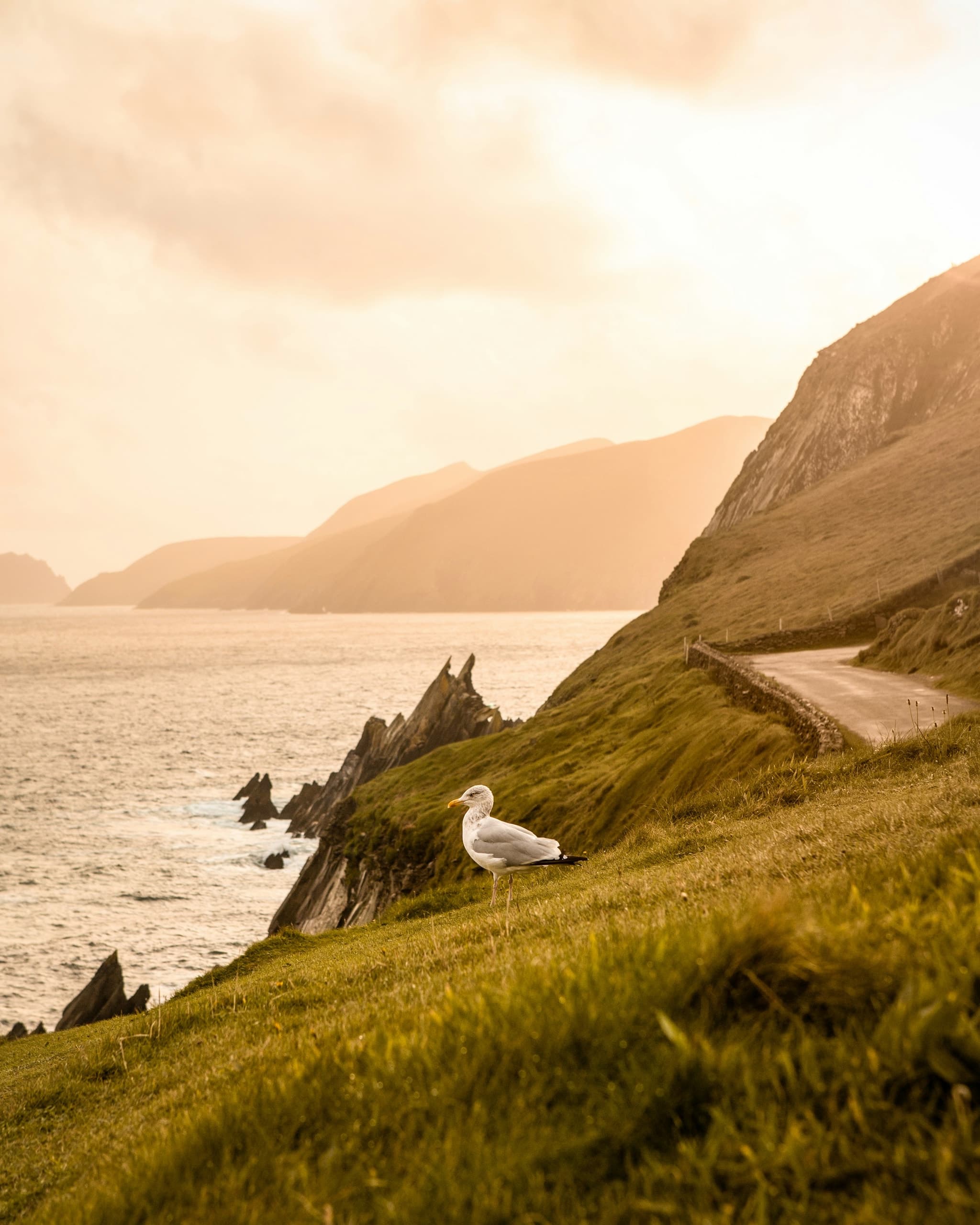 Dingle Peninsula, Ireland