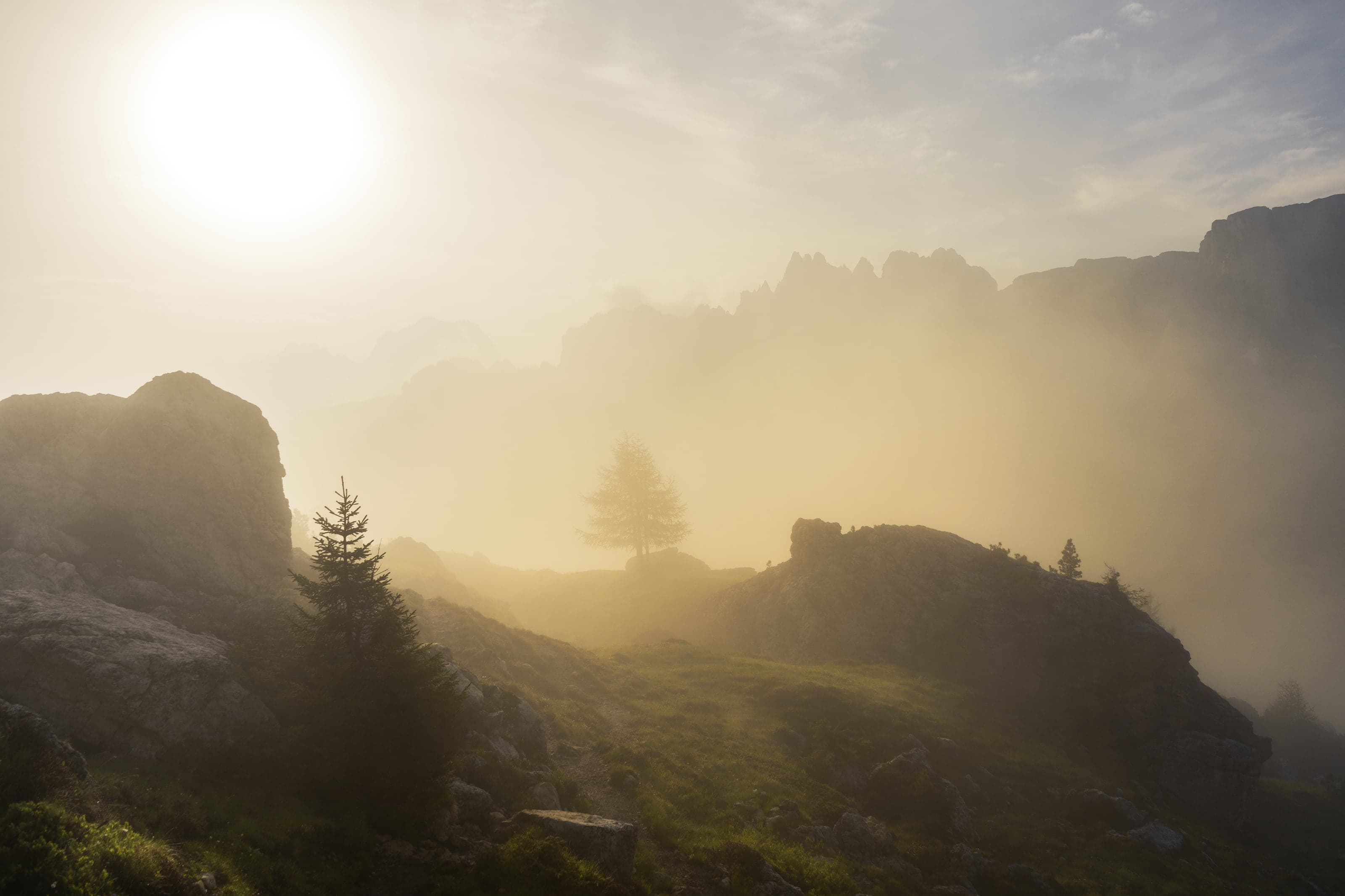 Golden morning light filtering through mountain mist and fir trees in the Dolomites