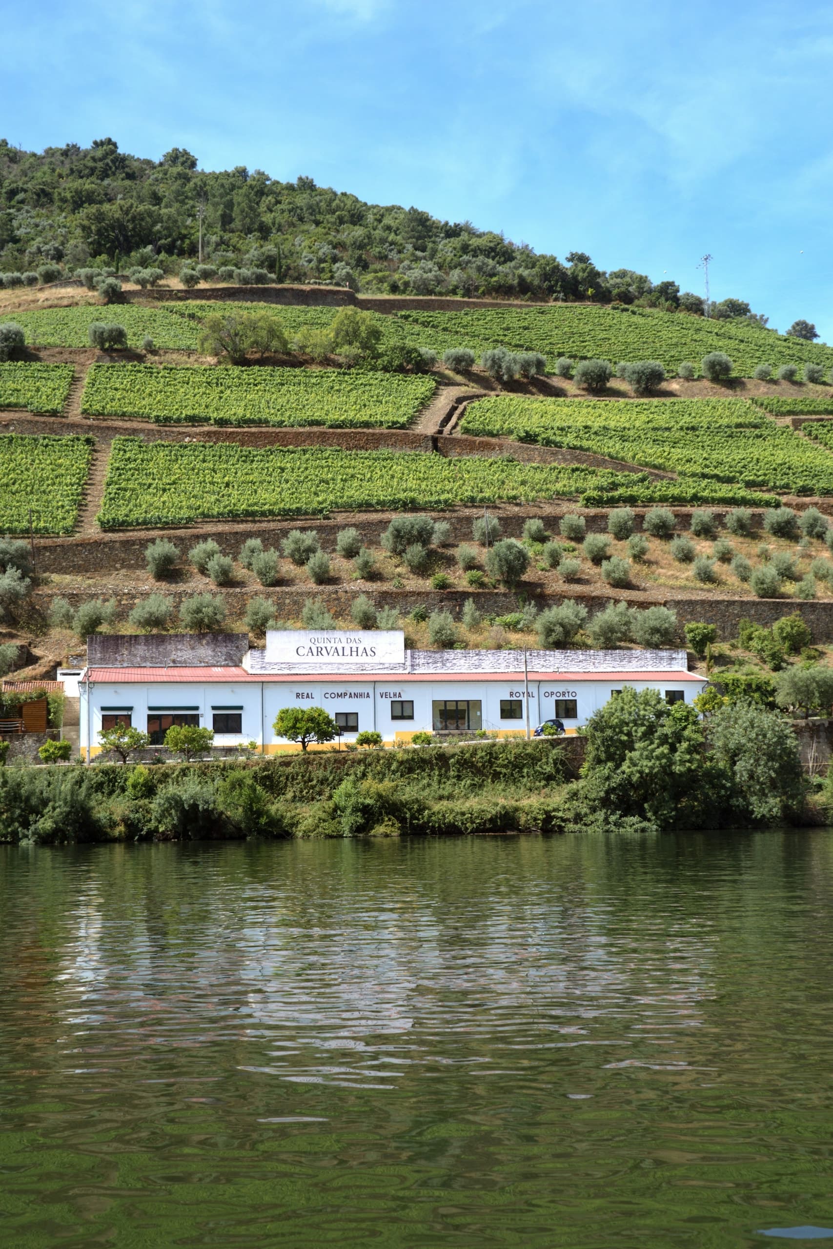 A house on the side of a hill next to a river