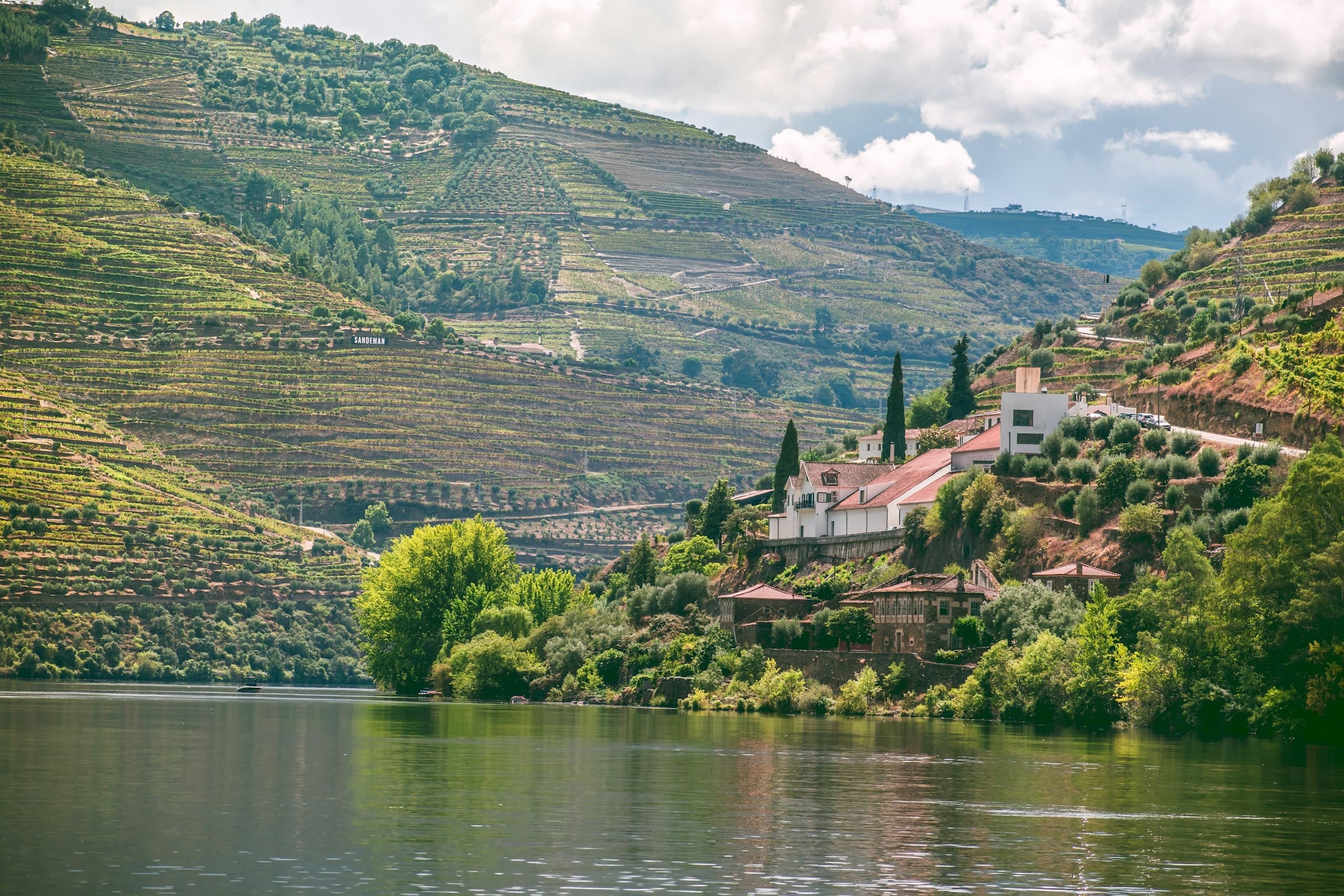 a large body of water surrounded by a lush green hillside
