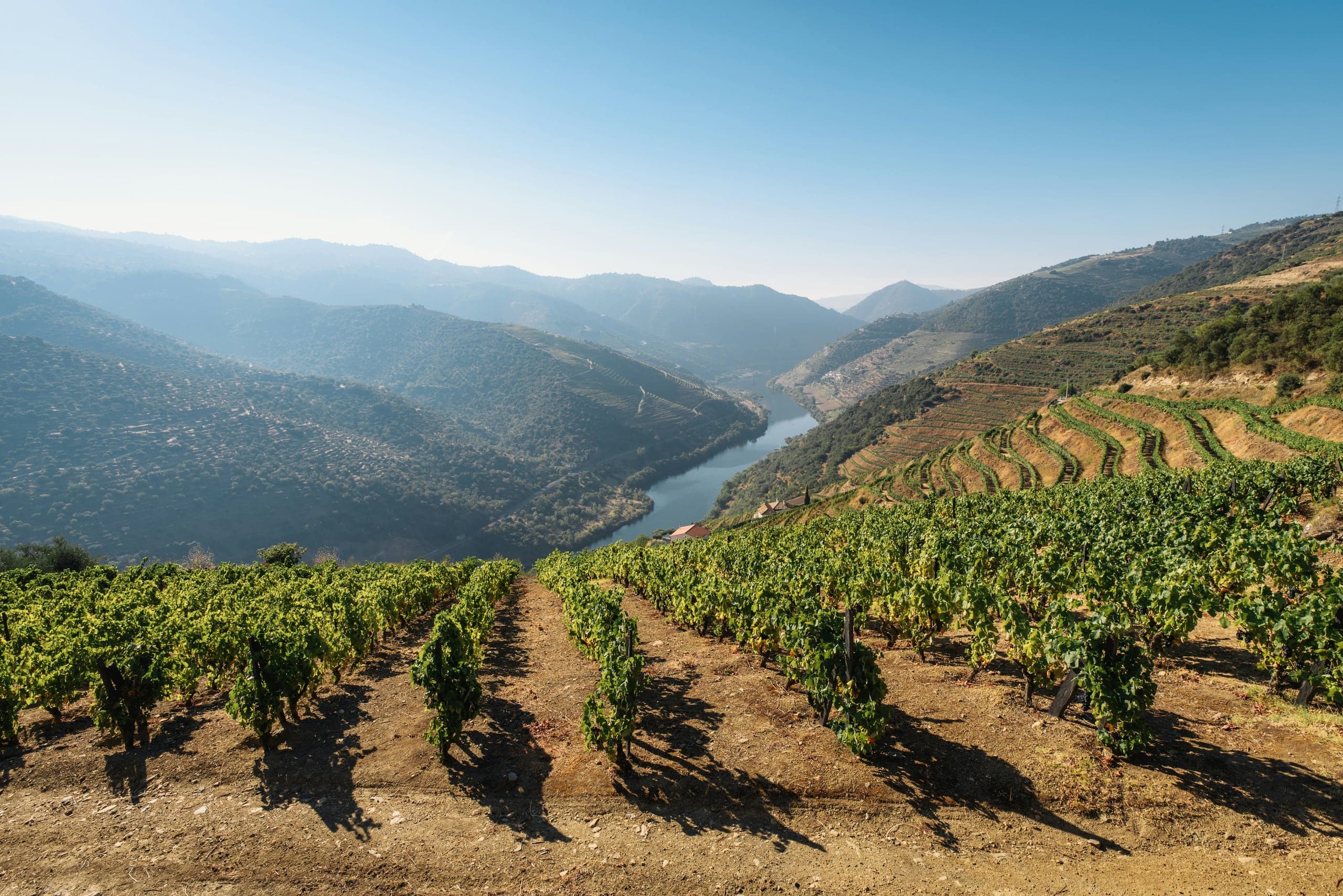 Douro Valley, Portugal