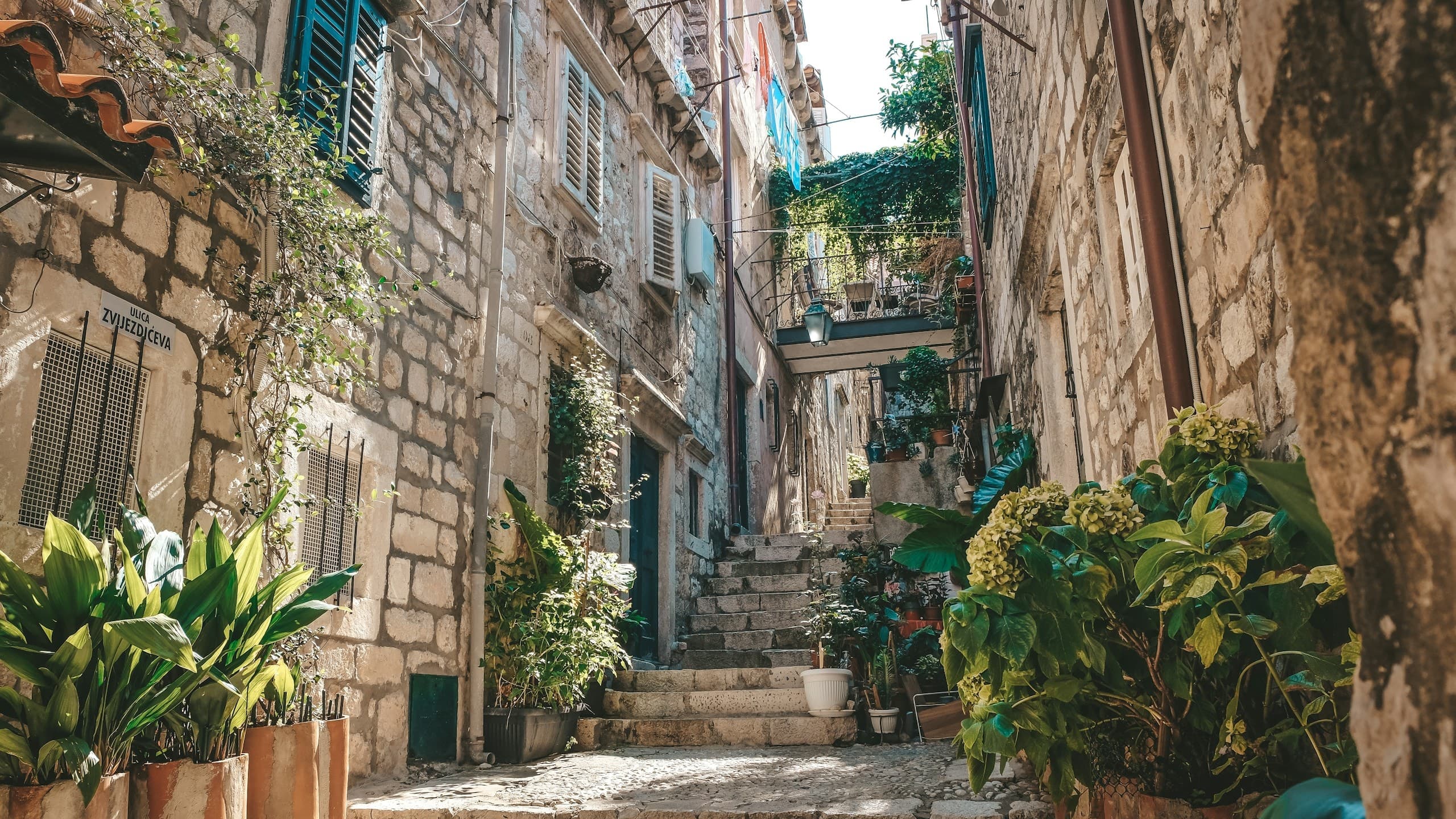 a narrow alleyway with potted plants on either side
