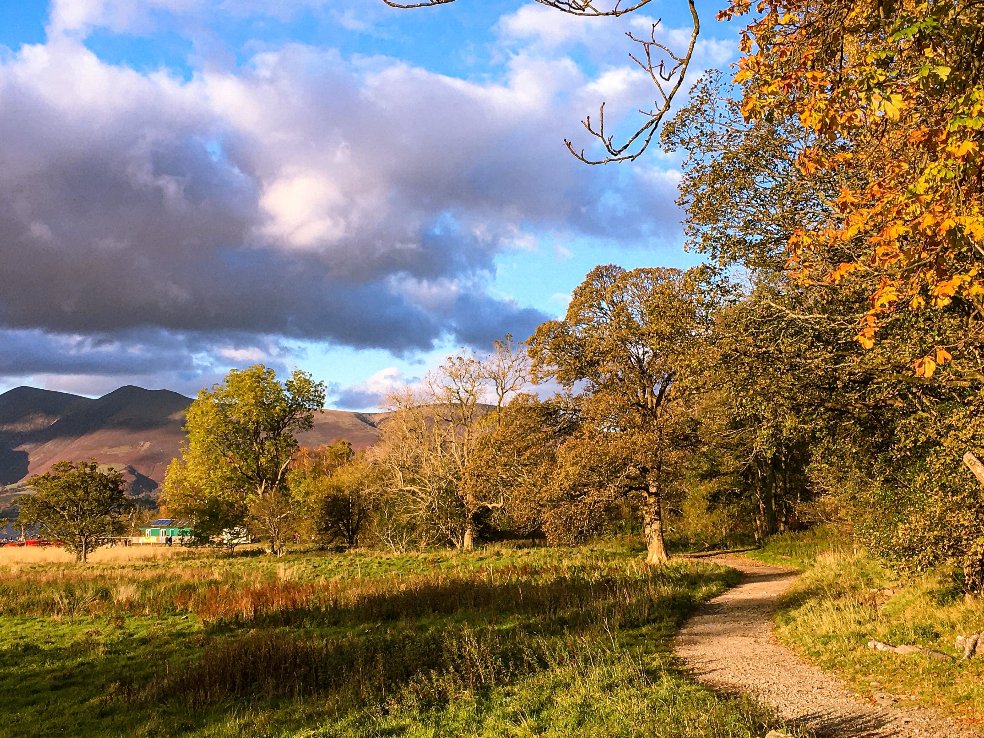 A winding footpath through golden autumn meadow and trees beneath dramatic Lake District clouds