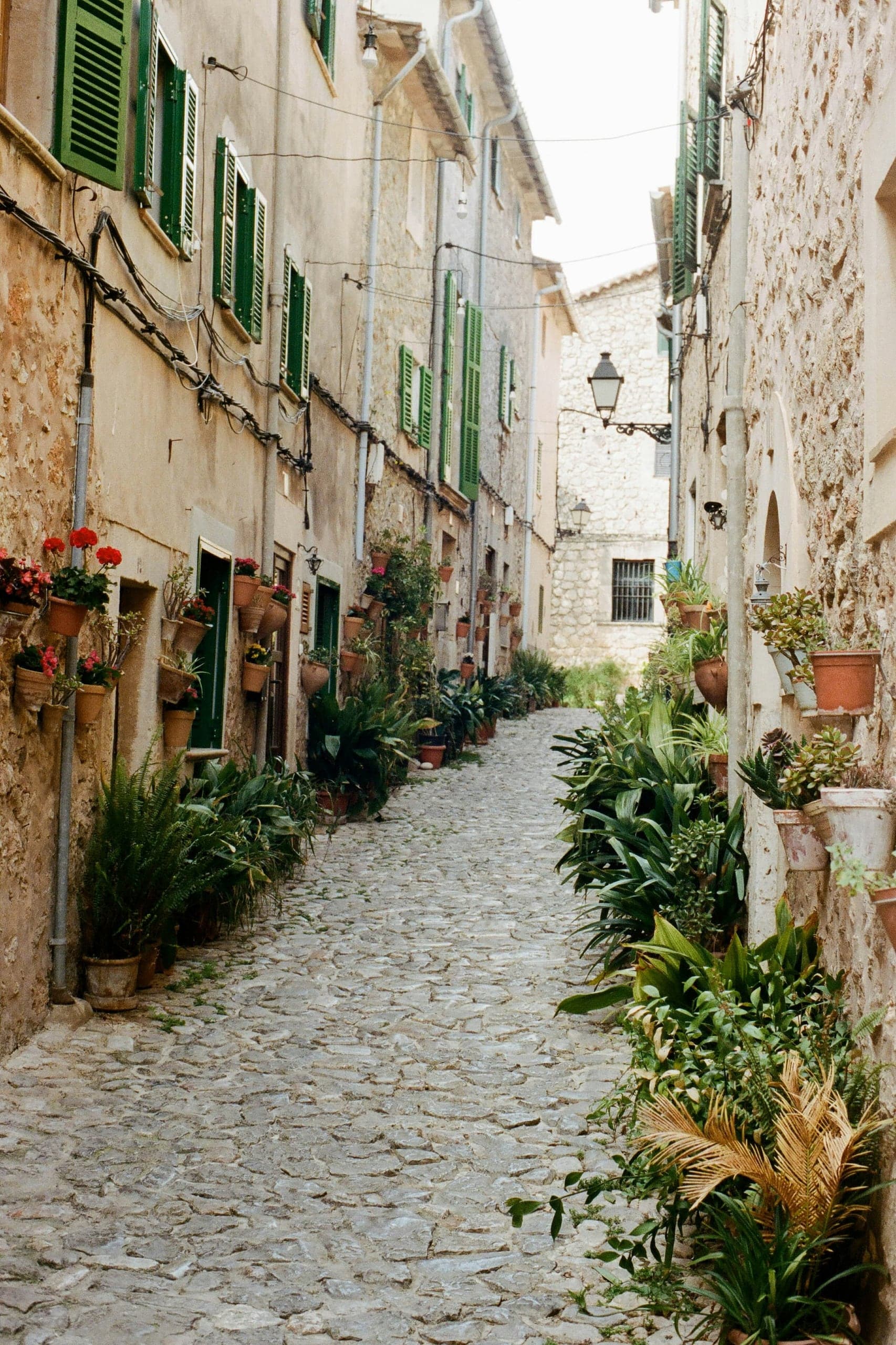 Flower-lined stone lane and green shutters in Valldemossa, Mallorca