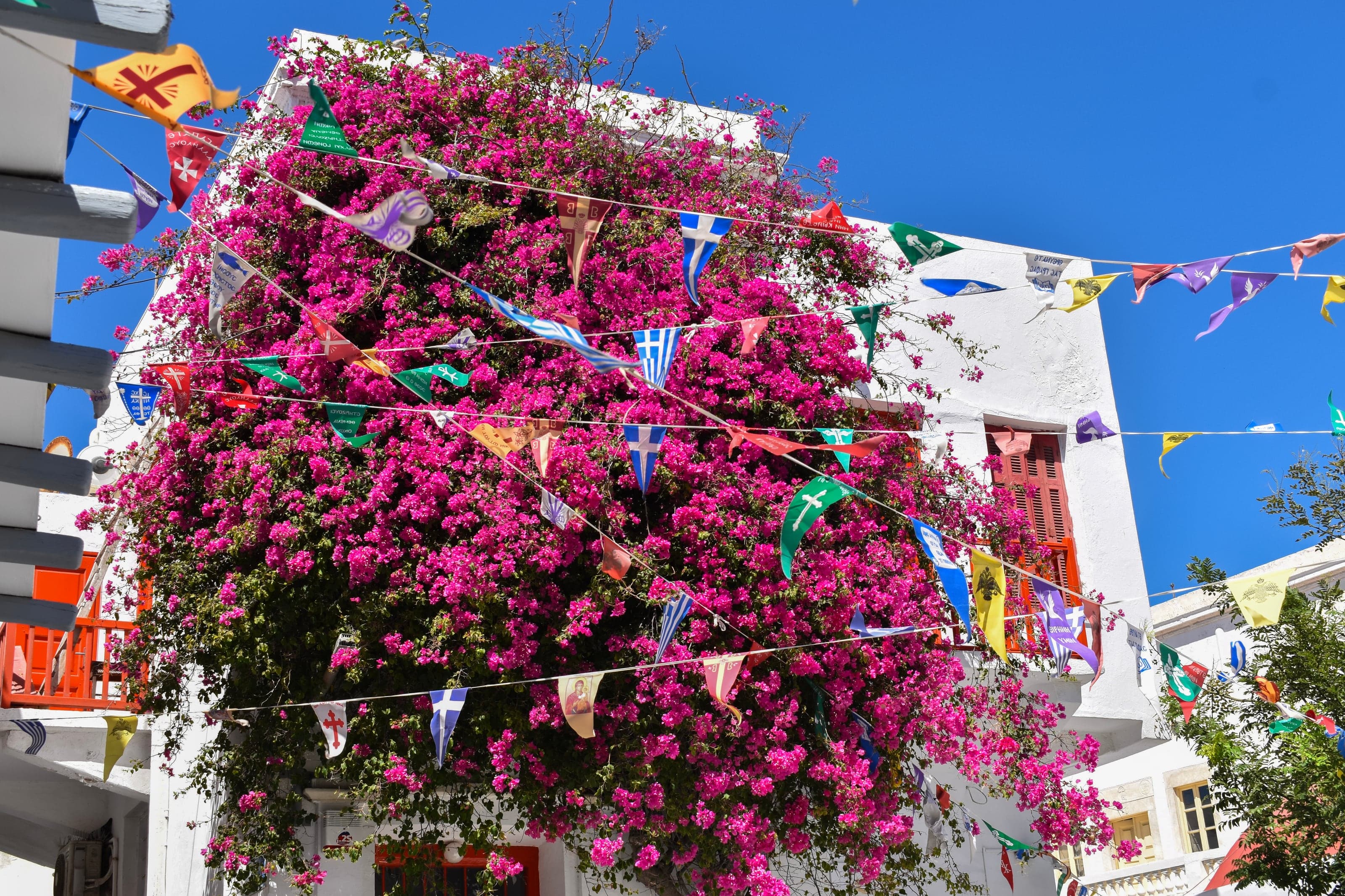 Brilliant magenta bougainvillea spilling across whitewashed walls beneath the blue Mykonos sky
