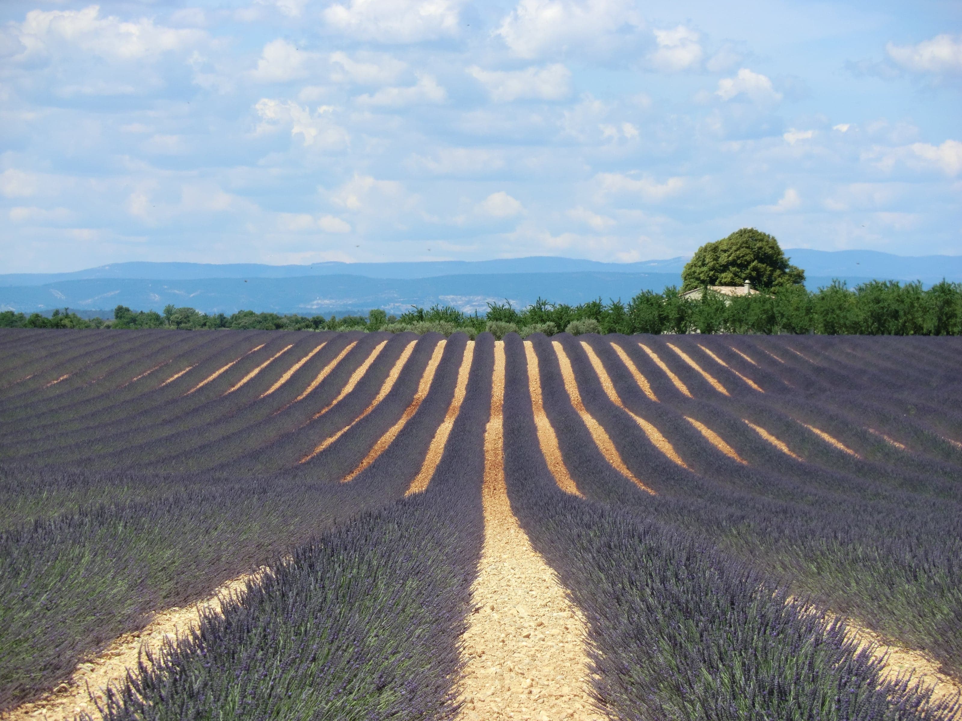 Provence, France