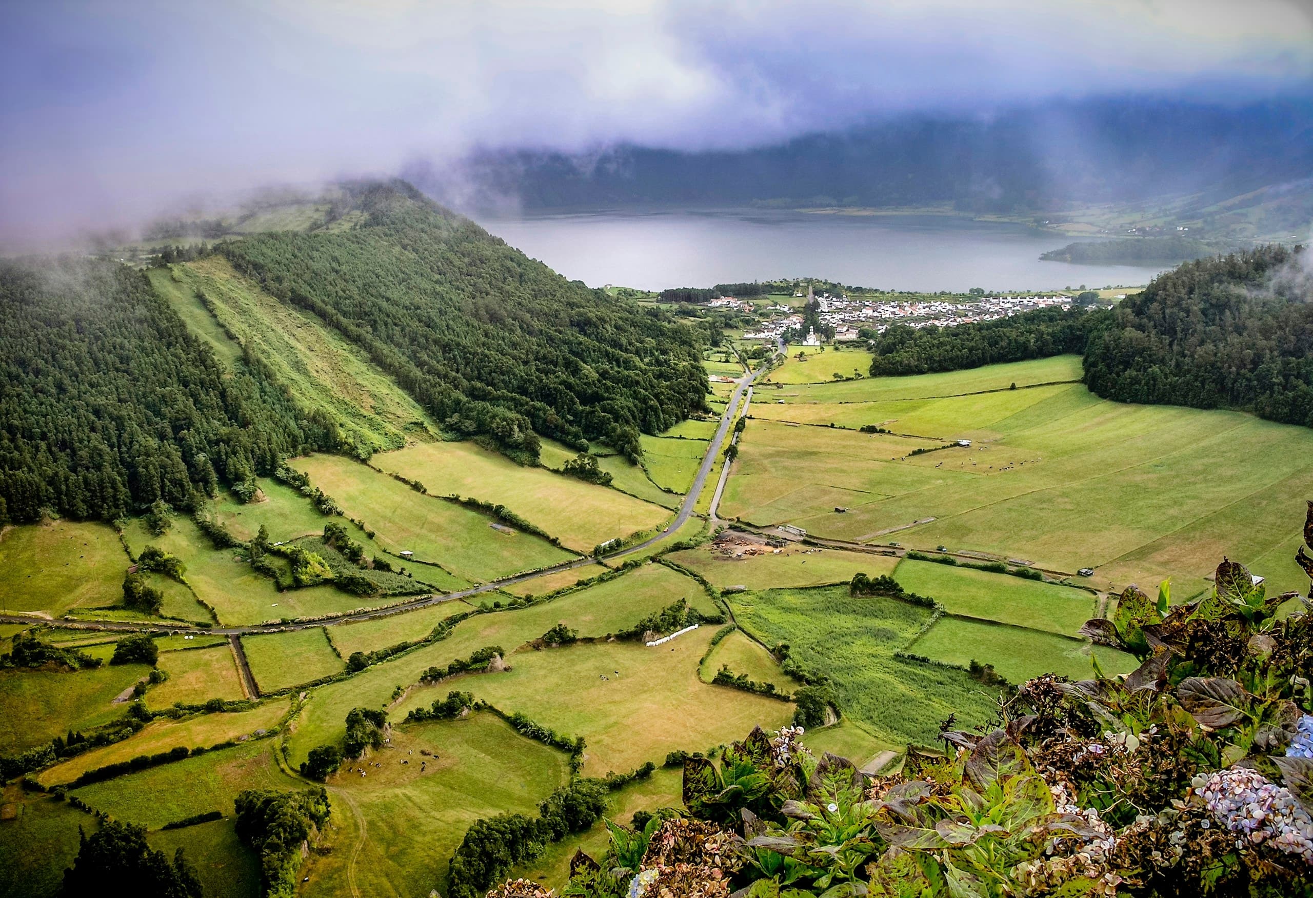 a scenic view of a lush green valley