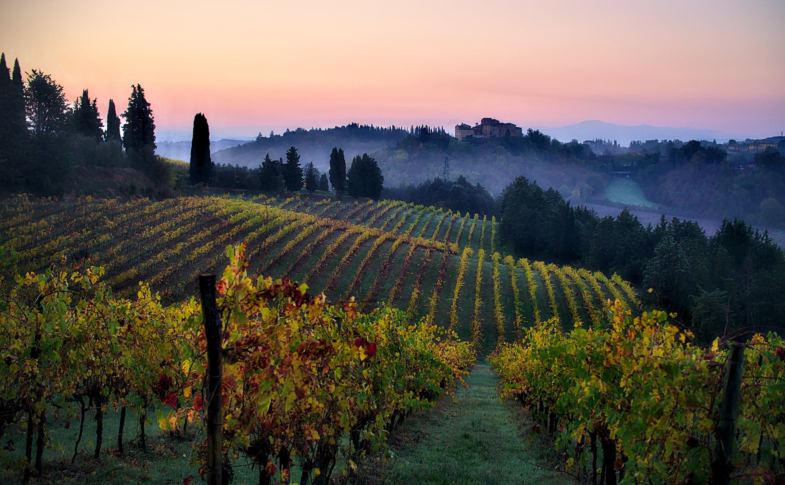 Autumn vineyard rows glowing at sunset near Ponte a Bozzone in Tuscany