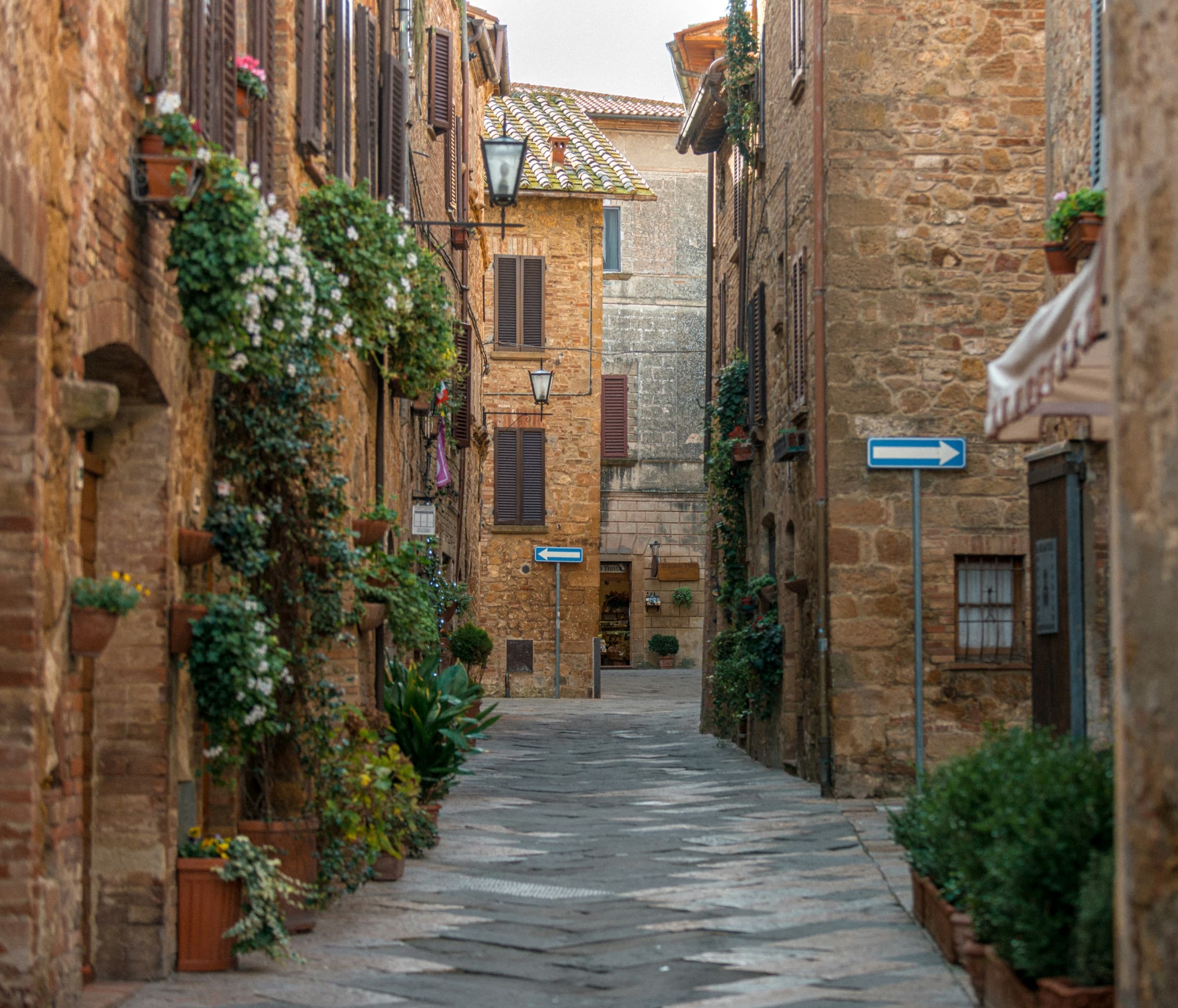 A romantic stone lane in a Tuscan hill town lined with doors, flowers, and potted greenery