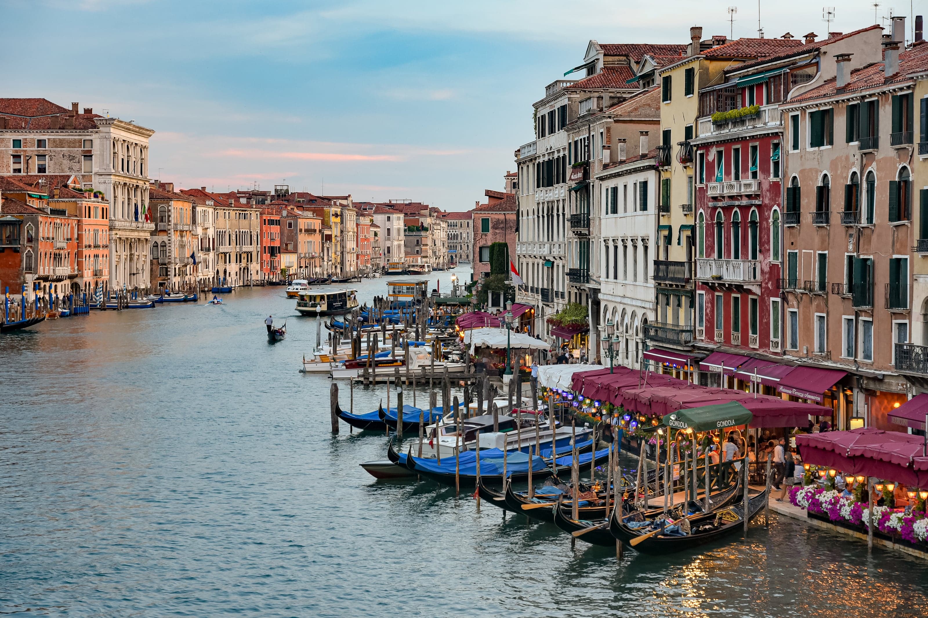 Gondolas, water buses, café lights, and colorful palazzi lining Venice's Grand Canal at golden hour